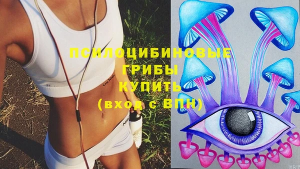 не бодяженный Белокуриха