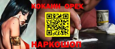 гашик Малгобек