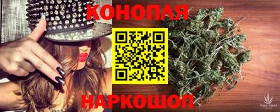 гашик Малгобек