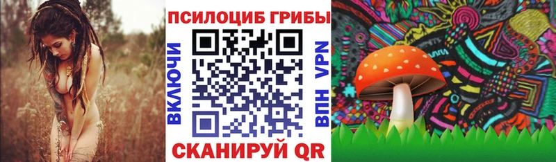Псилоцибиновые грибы мухоморы  как найти наркотики  Губкинский 