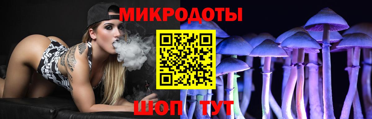 Псилоцибиновые грибы Psilocybine cubensis Губкинский